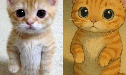 Zauberhafte Kätzchen im Anime-Stil der Ghibli-Studios