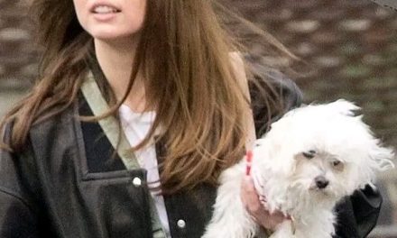 Tom Cruise und Ana de Armas: Ein tierisches Abenteuer