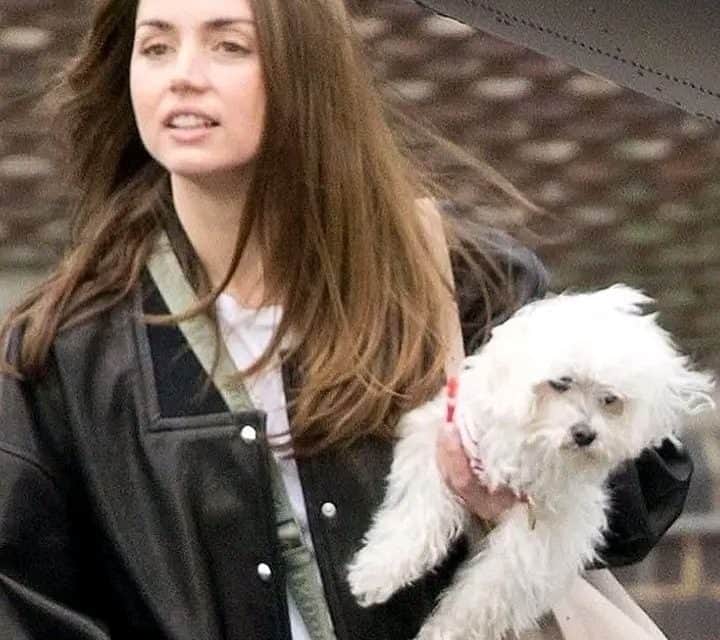 Tom Cruise und Ana de Armas: Ein tierisches Abenteuer
