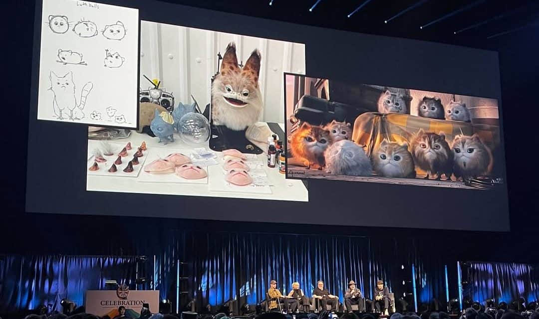 Neuer Merchandise der Disney-Serie begeistert Fans und Sammler