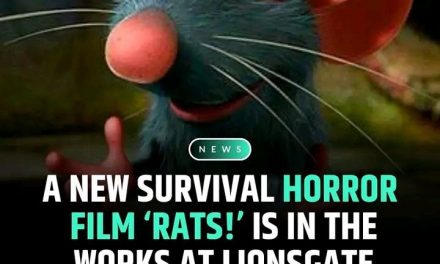 LionsGate startet Dreharbeiten zu tierischem Horrorfilm **Krysy**