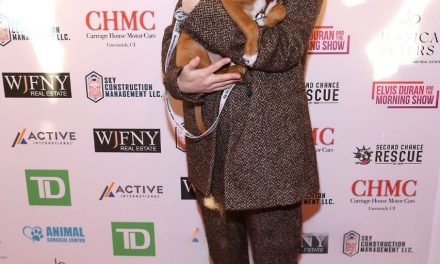 Alexandra Daddario und ihr Hund in Berlin: Ein Herz und eine Seele