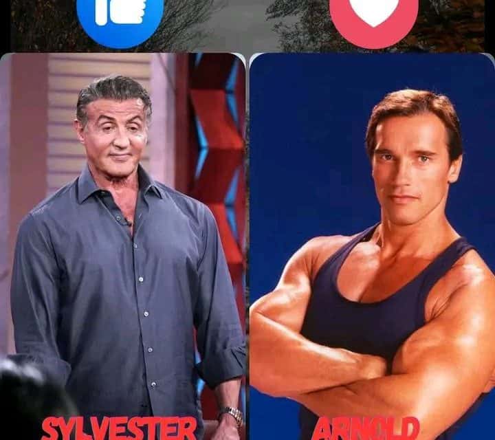 Stallone und Schwarzenegger: Action-Ikonen in Kalifornien