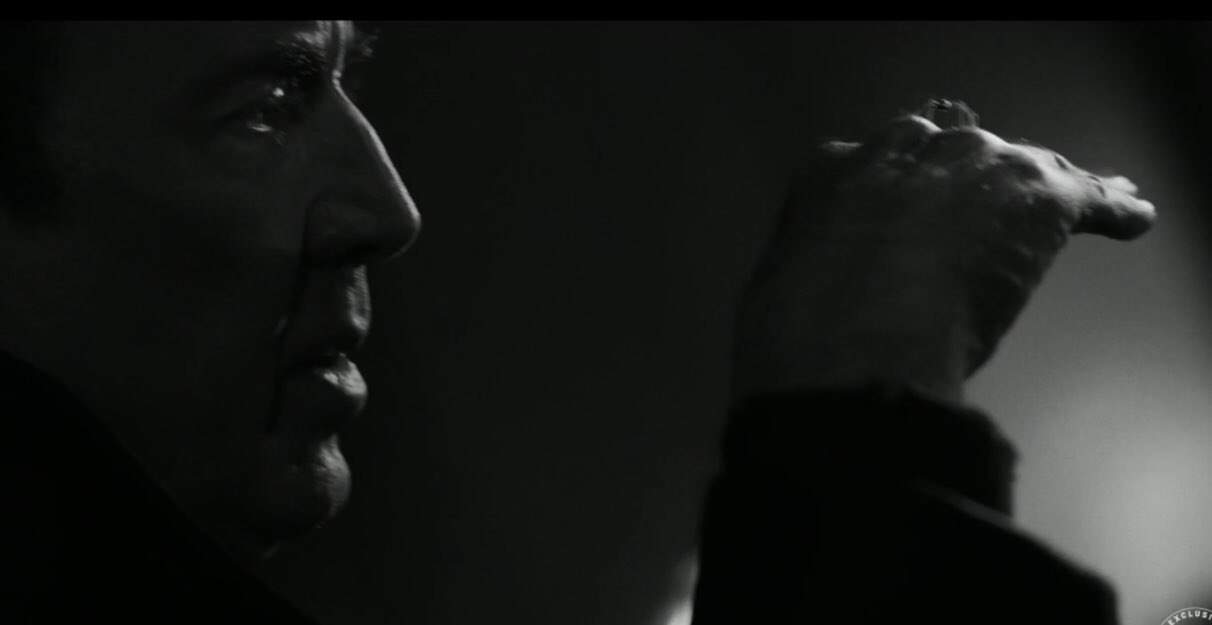 Noir-Spider: Ein faszinierender Teaser aus Berlin!