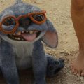 Packende Filmhighlights aus Berlin: Emotionen und Intrigen